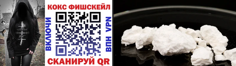продажа наркотиков  мега зеркало  COCAIN Эквадор  Кыштым 