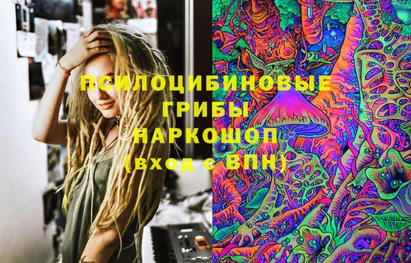 СК Алексин