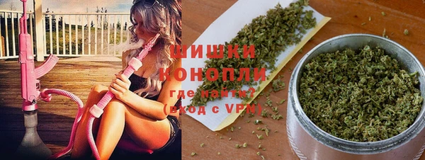 твердый Алзамай