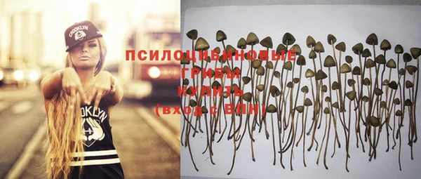 СК Алексин