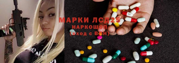 СК Алексин