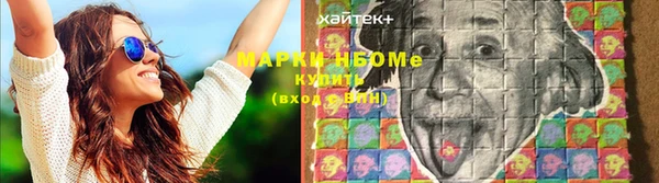 твердый Алзамай