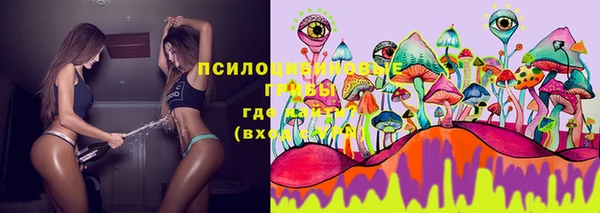 твердый Алзамай
