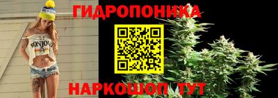 прущие грибы Гагарин