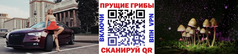 магазин продажи наркотиков  Кыштым  KRAKEN как зайти  Галлюциногенные грибы прущие грибы 